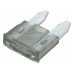 2 Amp Mini Blade Fuses (5 Per Pack)